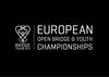 Grafisk design for EM 2015